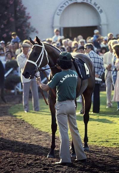 Landaluce and her groom in the paddock at Del Mar prior to the Debutante, September 5, 1982.      Credit:  Keeneland Library - Barrett collection